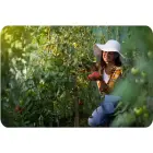 Tunel ogrodowy 2x3m 6m2 Plonos Photo