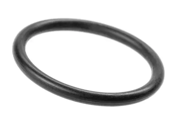 WE17 Part No. G-69 O-Ring Photo