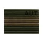 Dual IR Patch AUT – RAL7013 — Photo 1