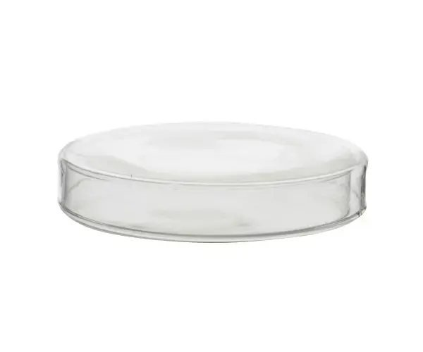 Stiklinė Petri lėkštelė (natrio stiklas) 80x15 mm 31 cm