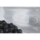 AMICA FD2015.4(E) Fridge Freezer — Foto 15