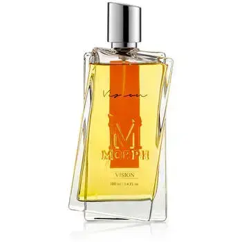 Vision EDP
