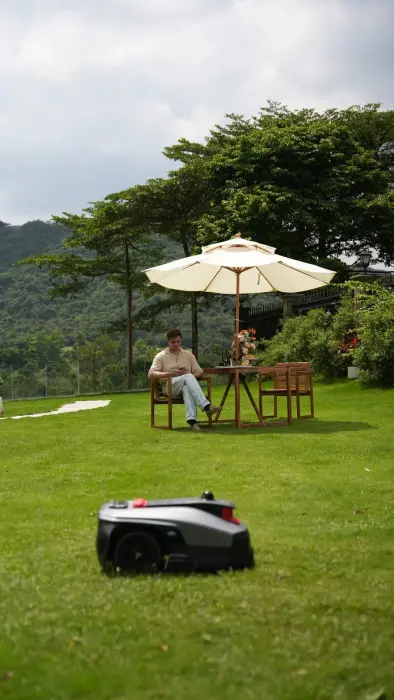 Do I need a robotic lawnmower? — 9