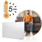 Infrapunakiirgur 960 W Berdsen BD-988 Photo