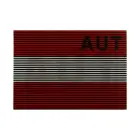 Dual IR Patch AUT (Multicolor) — Фото 1