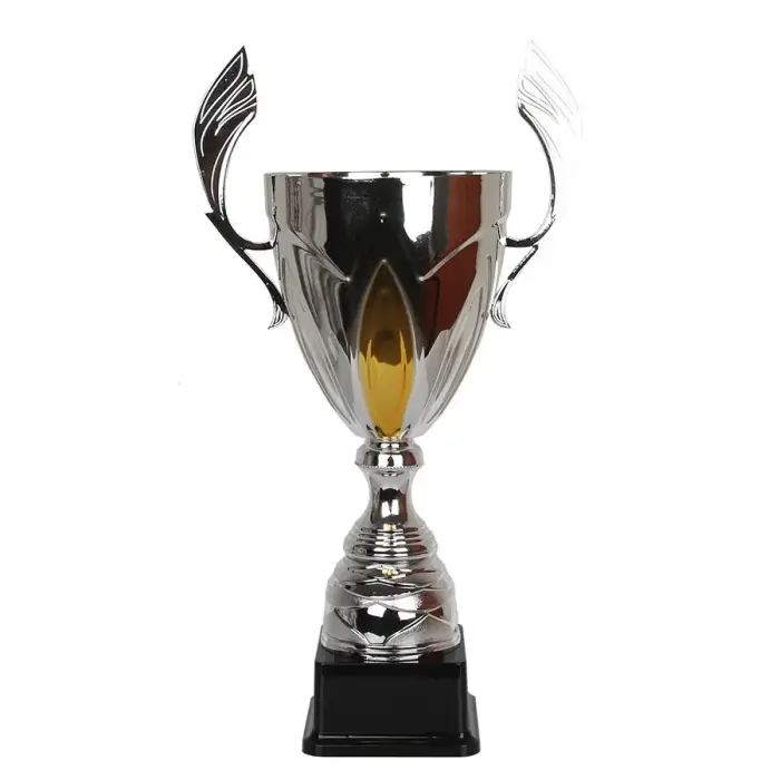Trophy Tryumf NT755 Silver Sidabrinis