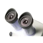 Microscope Levenhuk 5ST — Photo 5