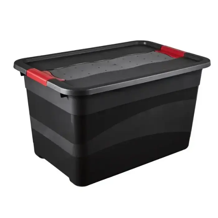 Eckhart transporta kaste 59.5x39.5x34cm 52L, grafīta