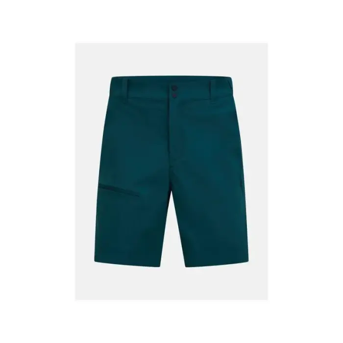 PEAK PERFORMANCE M Iconiq lühikesed püksid, green, suurus L