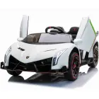 Lamborghini Veneno, 2 persons — Photo 3