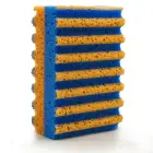 Sūklis četros toņos Colour Foto 1