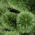 KLARA ARTIFICIAL CHRISTMAS TREE WITH SPLIT PVC NEEDLES, 200 CM — Foto 3
