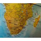 Globe Elite, Nova Rico, (LV) 30cm/12" Foto 2