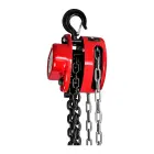 Chain hoist 1T / 3m — Photo 3