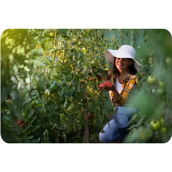 Tunel ogrodowy 2 x 3,5 m (7m2) Plonos Foto 10