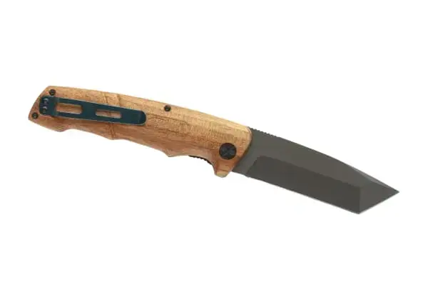 Blue Wood Knife 4