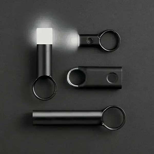 Lexon Nomaday Keychain with Flashlight dark green LL136DG1 Фото num