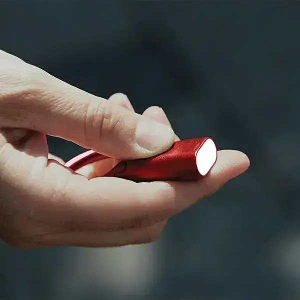 Lexon Nomaday Keychain with Flashlight dark red LL136DR Фото num