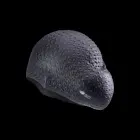 SILICONE BLOBCAP, size ONE SIZE — Nuotrauka 2