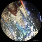 BRESSER Analyth STR 10x - 40x stereo microscope — Foto 2