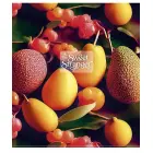 Klade, 48 lapas, rūtiņu, UV laka Foto 8