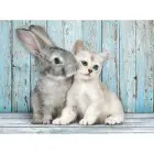Cat and Bunny pusle 500 tk — Foto 1