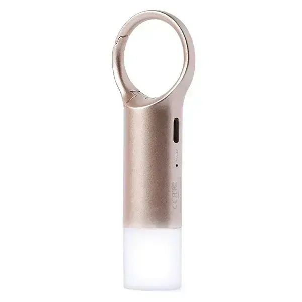 Lexon Nomaday Flash LED Keychain gold LL137D Foto 3