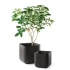 Flowerpot Cube Planter M Brown — Photo 2