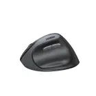 Ugreen Wireless Optical Mouse – Black — Photo 2