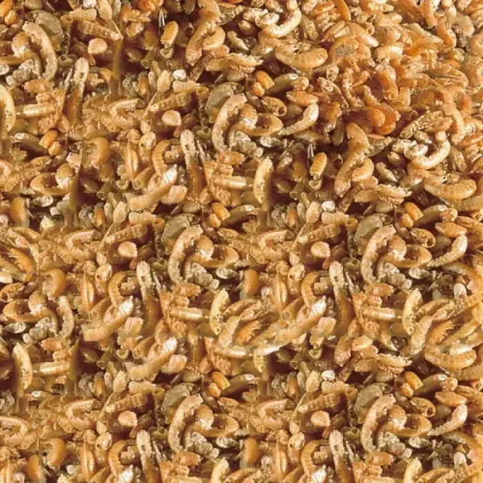 Barība reptiļiem : Sera Raffy I 100ml Photo