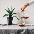 Hario Range Server V60-02 - 600ml — Nuotrauka 2