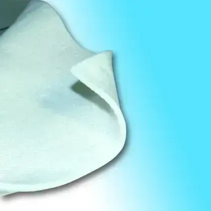 LEIFHEIT triikimislaua polsterdus Photo