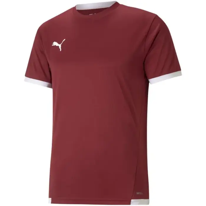 Puma teamLIGA krekls M 704917 09