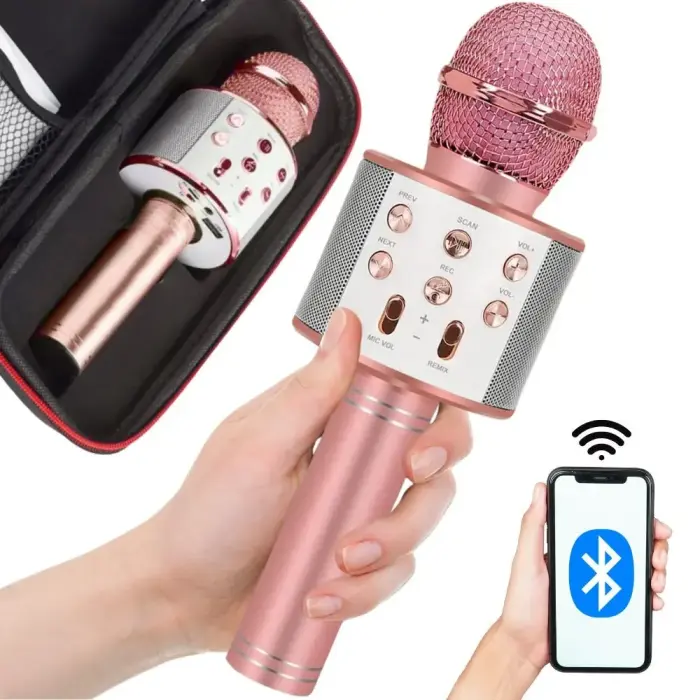 Traadita mikrofon bluetooth karaoke kõlar ümmargune koos ümbrisega erinevad režiimid