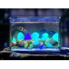 Fluorescent lighting stones 100 pcs — Photo 8