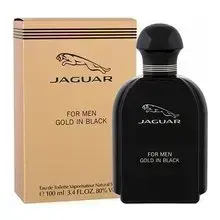 Gold in Black EDT tualetes ūdens