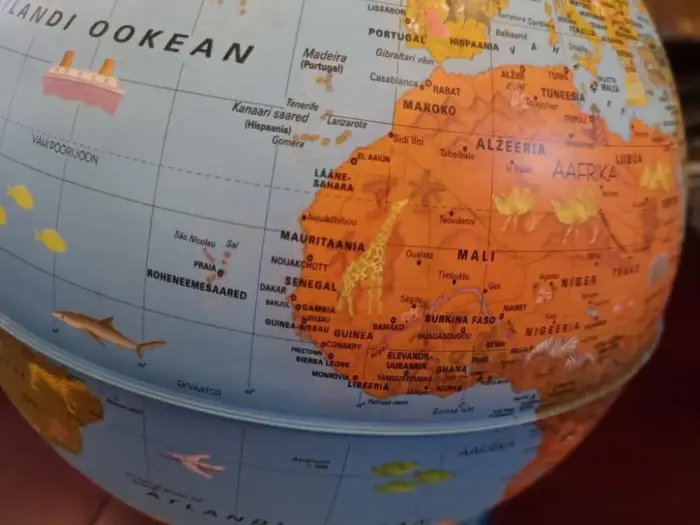 Globe Arca (EE) 25cm/10", Nova Rico Foto 4