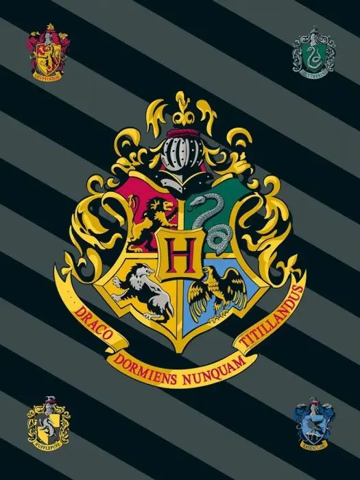 Флисовый плед Harry Potter 100x150 см