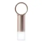 Lexon Nomaday Flash LED Keychain gold LL137D Foto 1