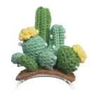 Knitted costume for Loona Premium Cactus Foto 1