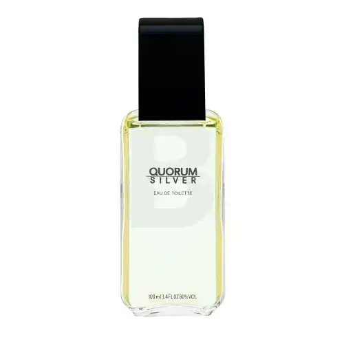 Antonio Puig Quorum Silver Eau de Toilette for men 100 ml
