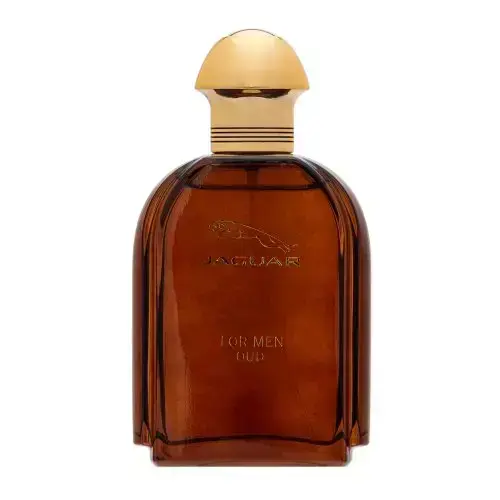 Jaguar Oud For Men parfimērijas ūdens vīriešiem 100 ml