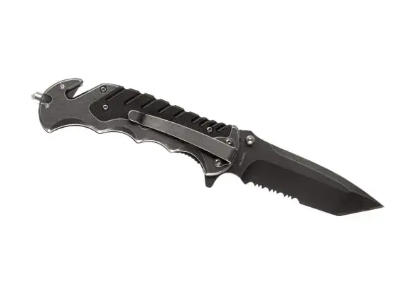 Smith & Wesson Border Guard SWBG10S kokkupandav nuga sakilise teraga