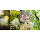 Opryskiwacz akumulatorowy Plonos PL-602 Foto 14