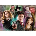 Harry Potter pusle 104 tk — Foto 1