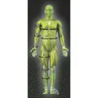 Select T26-14730 compression sokid white, suurus L — Foto 3