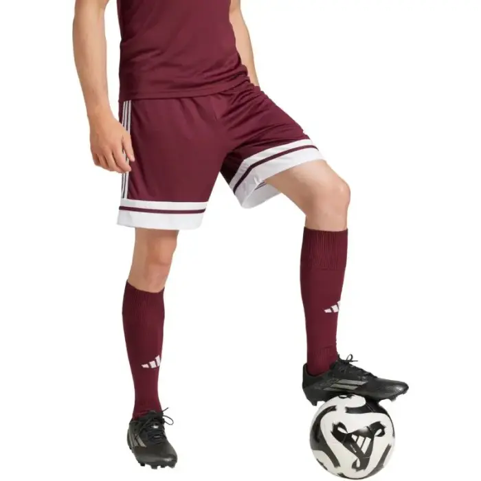 adidas Squadra 25 M JC8677 shorts - Feature: M