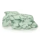 Peenestuskinnas Bambus Photo