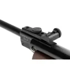 Model 45 4.5 mm Spring Airgun Photo