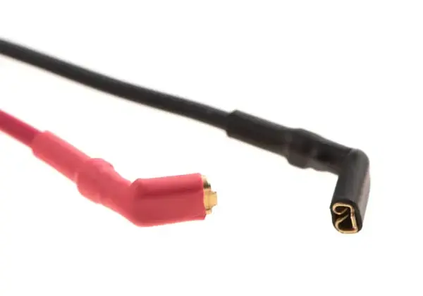 Leviathan V2 Optical to Stock + Speed Trigger Photo